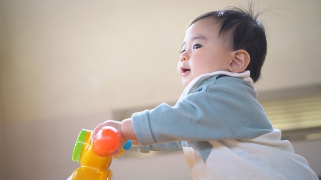 赤ちゃんの手押し車はいつから？1歳の手押し車でおすすめの商品9選