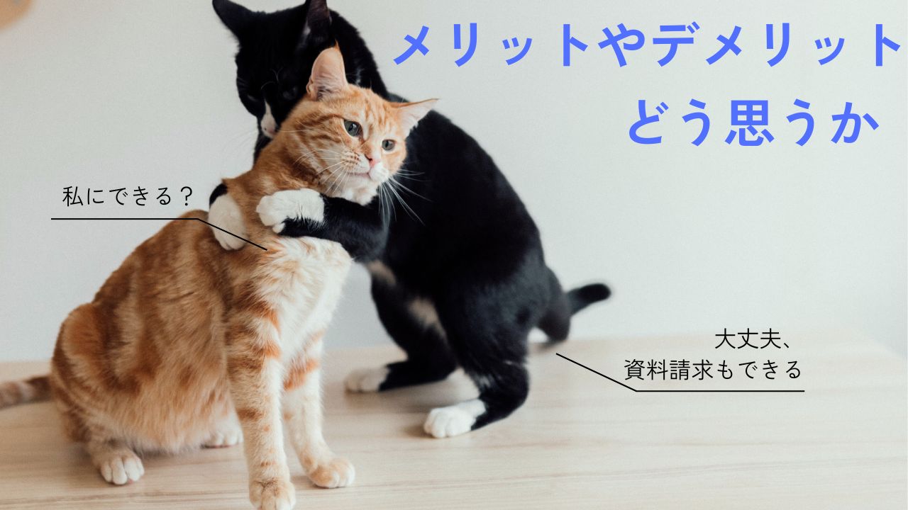Z会幼児コース体験談｜後悔したことと今だからわかる親子学習の楽しさ