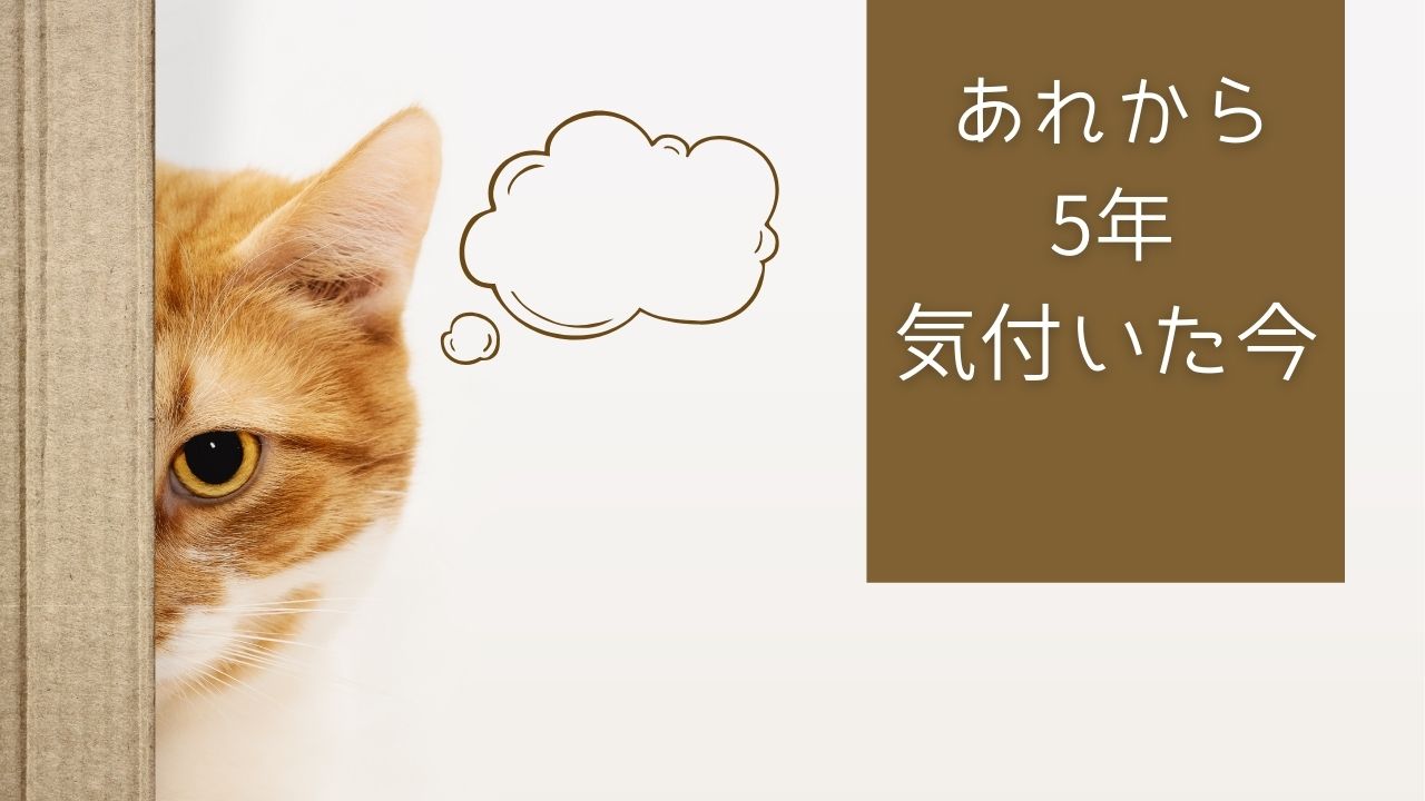 Z会幼児コース体験談｜後悔したことと今だからわかる親子学習の楽しさ