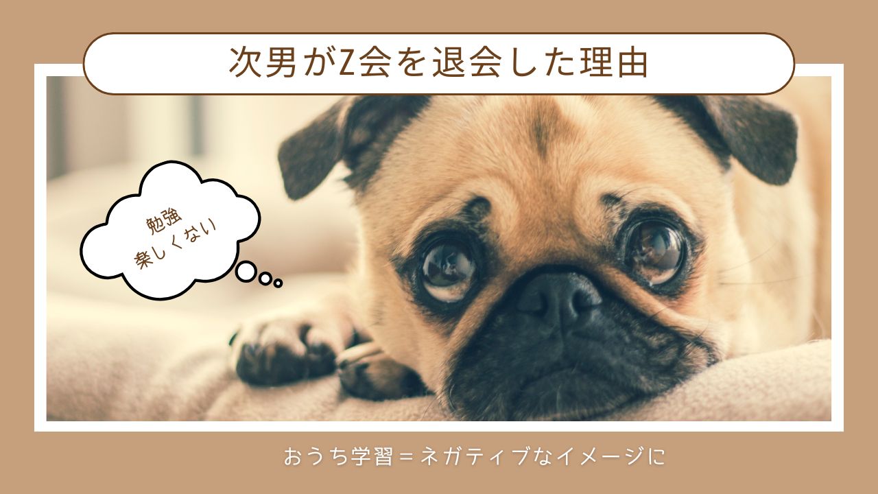 Z会幼児コース体験談｜後悔したことと今だからわかる親子学習の楽しさ