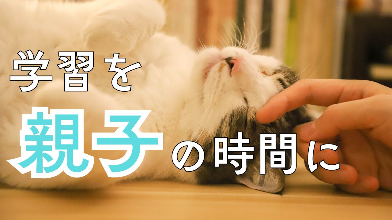 Z会幼児コース体験談｜後悔したことと今だからわかる親子学習の楽しさ