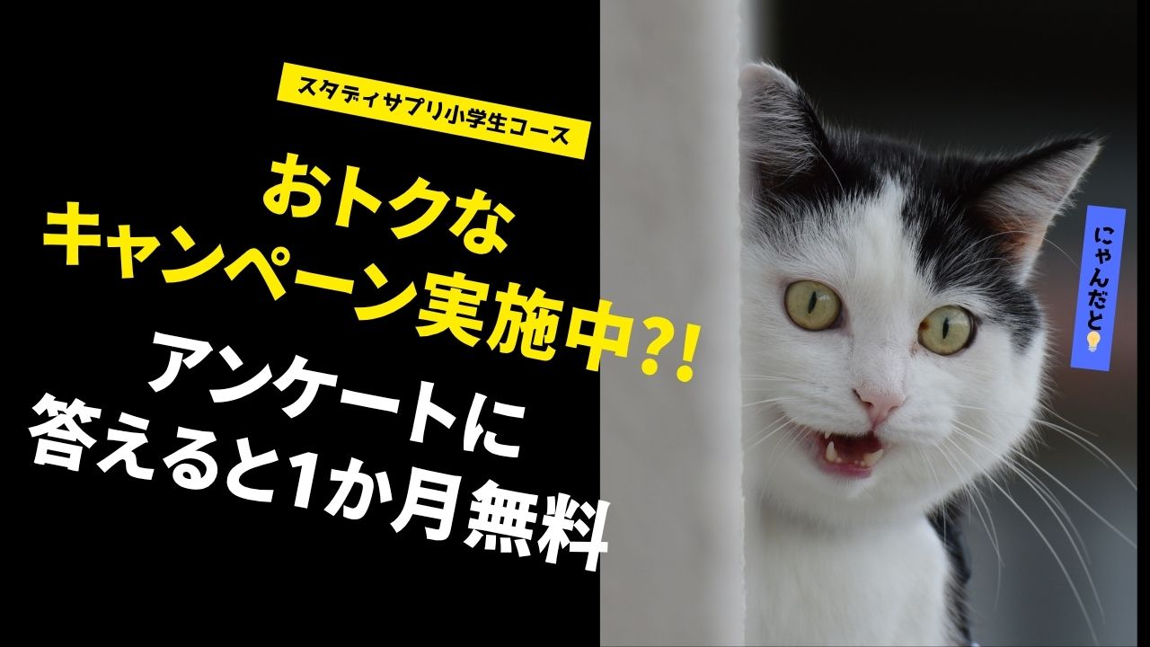 小学生必見！スタディサプリアンケートで1か月無料体験【2025年10月】